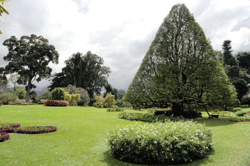 Sri Lanka, Kandy, Royal Botanical Garden